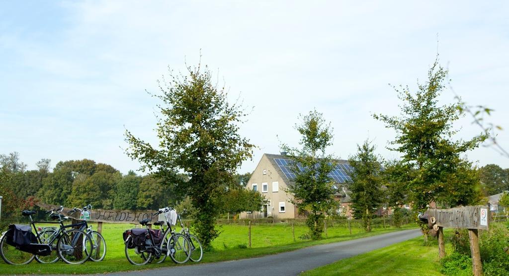 Heidehof Pension B & B Elten Værelse billede